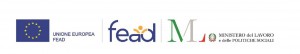 logo fead